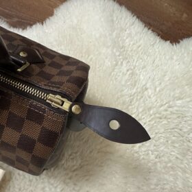 Louis Vuitton Damier SPEEDY 25 N41181 photo review