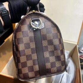 Louis Vuitton Damier SPEEDY 25 N41181 photo review