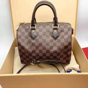 Louis Vuitton Damier SPEEDY 25 N41181 photo review