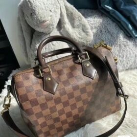 Louis Vuitton Damier SPEEDY 25 N41181 photo review