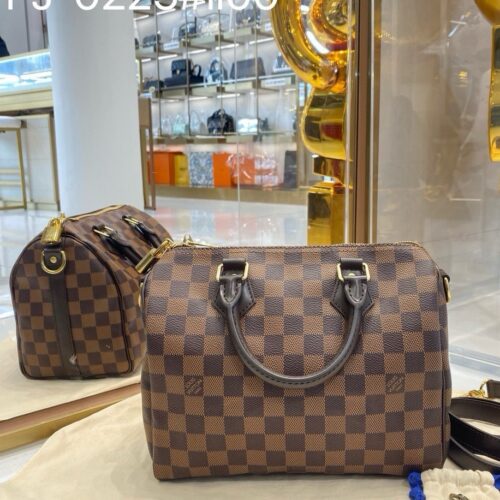 Louis Vuitton Damier SPEEDY 25 N41181 photo review