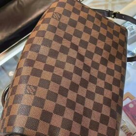 Louis Vuitton Damier SPEEDY 25 N41181 photo review