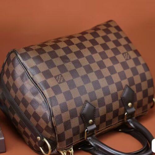 Louis Vuitton Damier SPEEDY 25 N41181 photo review